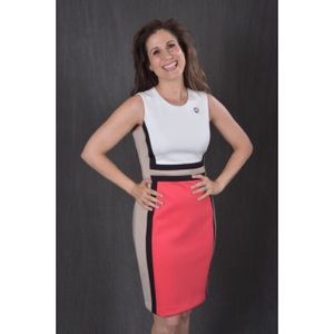 Calvin Klein Color Block Sleeveless Sheath Dress